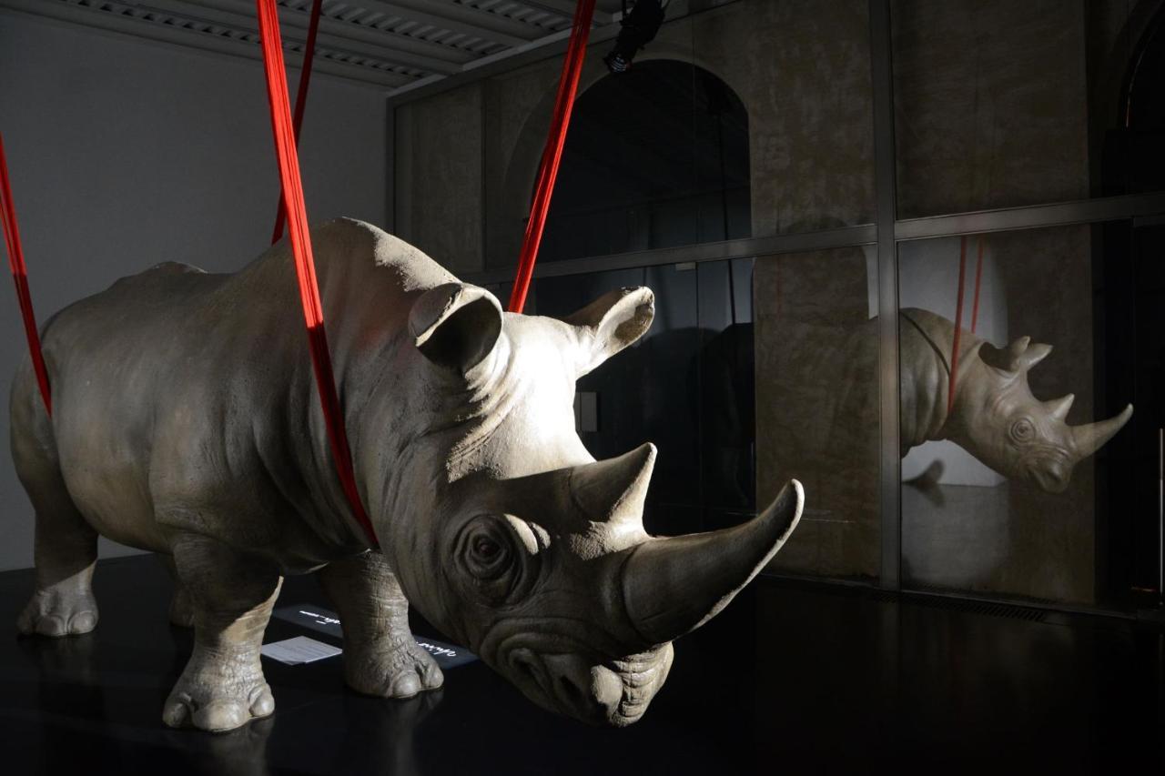 Rhinoceros Aparthotel Ρώμη Εξωτερικό φωτογραφία